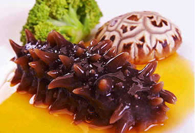 �����Ӣרҵ